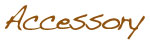 アクセサリー